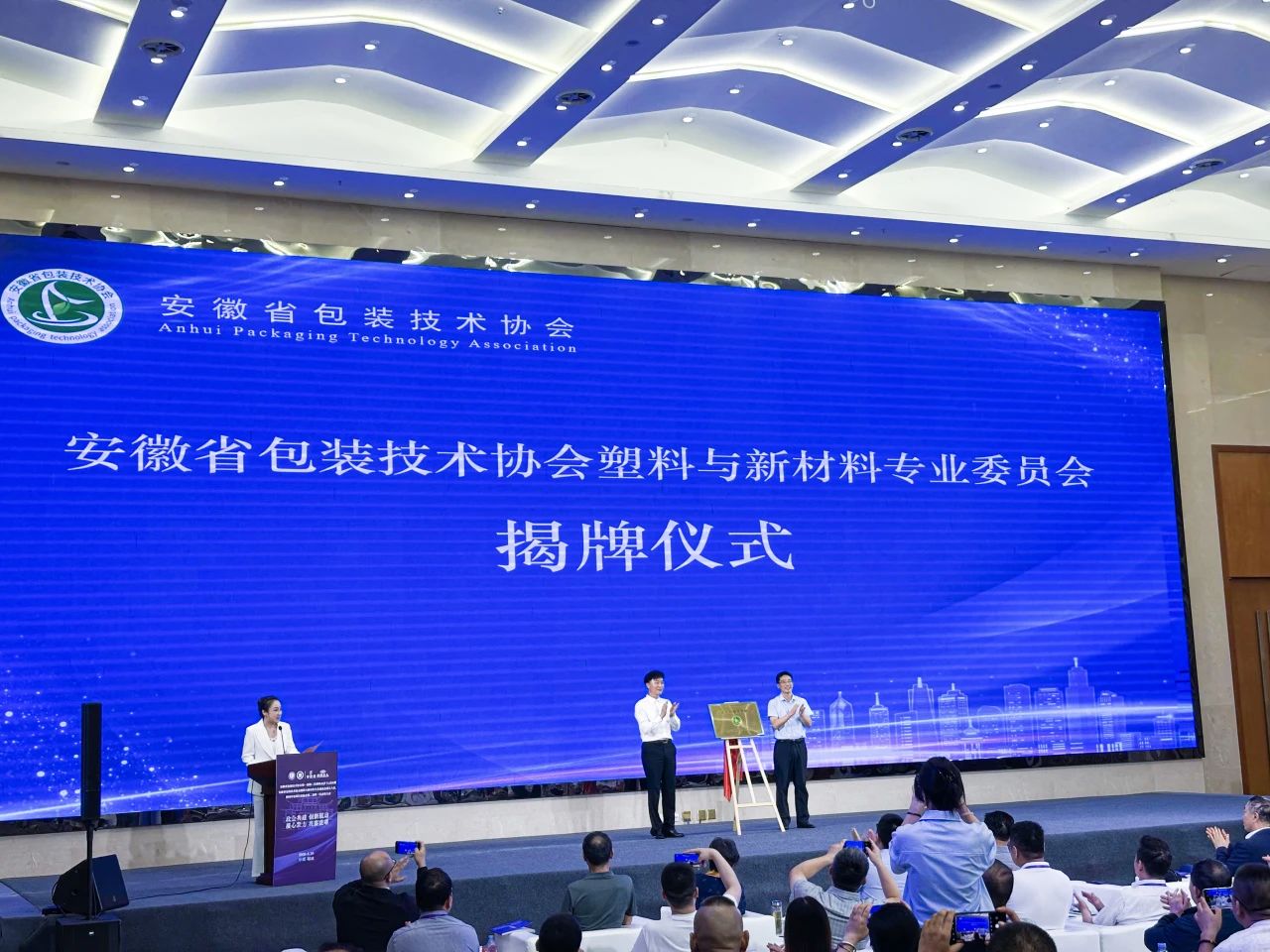 bat365正版唯一官网助力桐城包装盛会，RARADD创新方案为行业注入绿色动能！