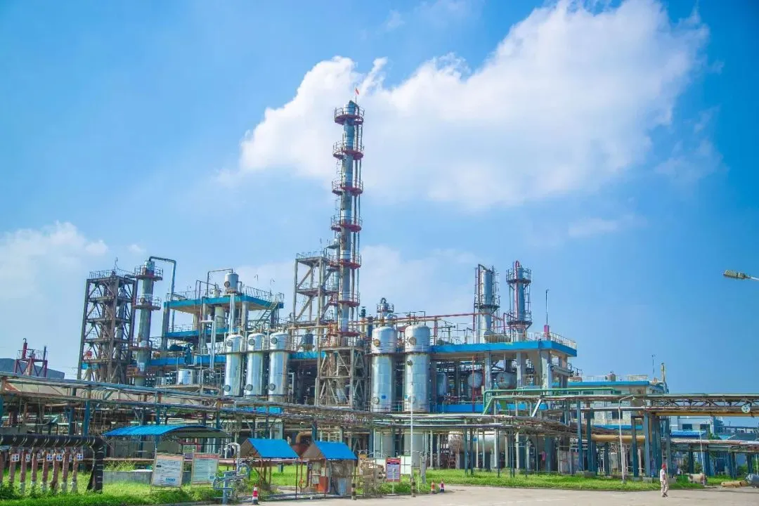 项目案例：精细化工行业废气治理