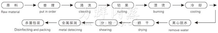 脱水蔬菜带式干燥工艺流程